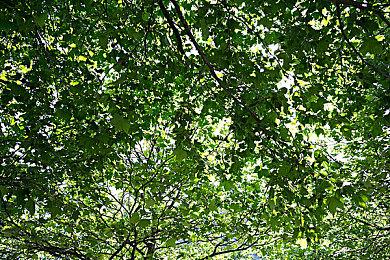 《心灵杀手2》三平台版本画质与性能表现对比