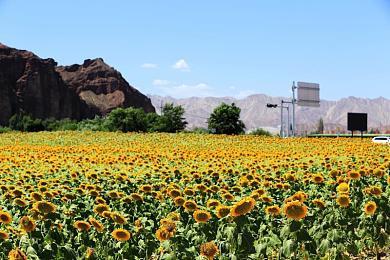 战双4周年直播回顾，新版本和未来规划内容拉满，玩家有福啦 