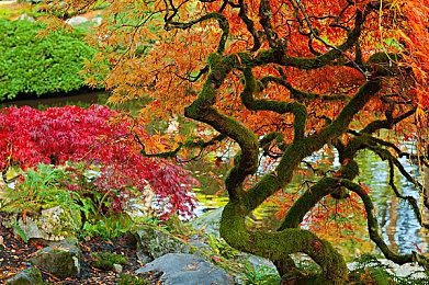 Xbox背锅！《真人快打遗产收藏》发售日期曝光